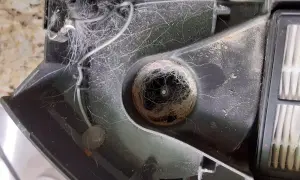 El cepillo del Roomba está enredado con pelo y suciedad, causando el error 99.