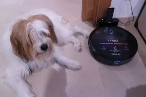 Un perro peludo descansa junto a un robot aspirador Conga, la mejor conga para mascotas, listo para limpiar.