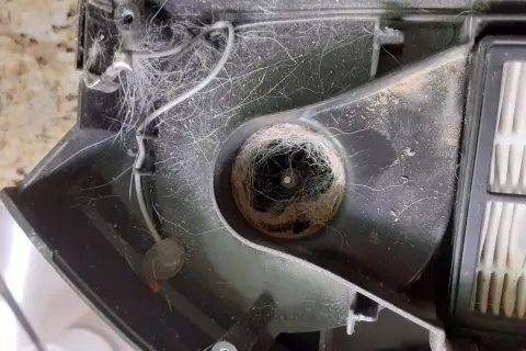 El cepillo del Roomba está enredado con pelo y suciedad, causando el error 99.