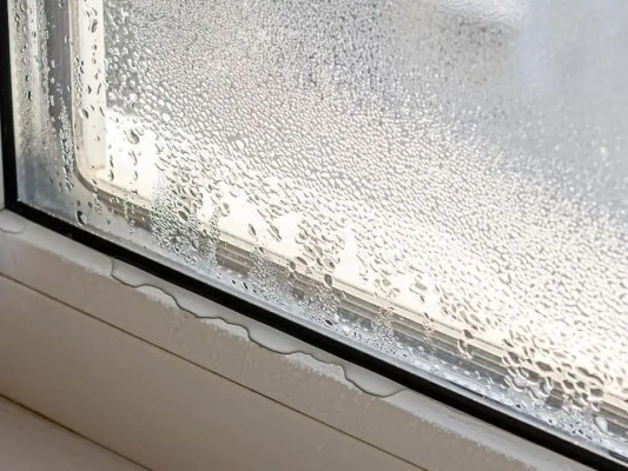 Gotas de agua cubren un cristal de ventana, mostrando cómo evitar condensación en ventanas. El agua se acumula en el alféizar.