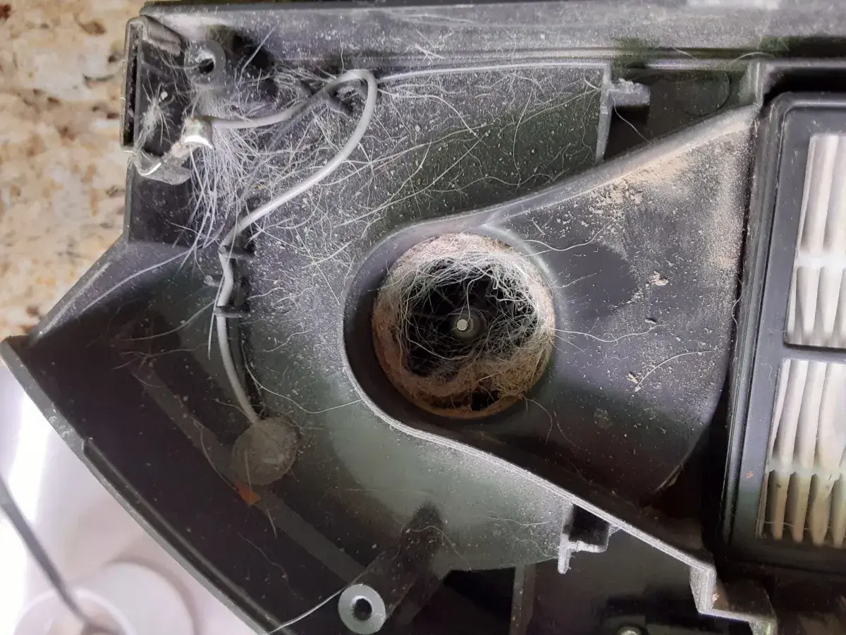 El cepillo del Roomba está enredado con pelo y suciedad, causando el error 99.