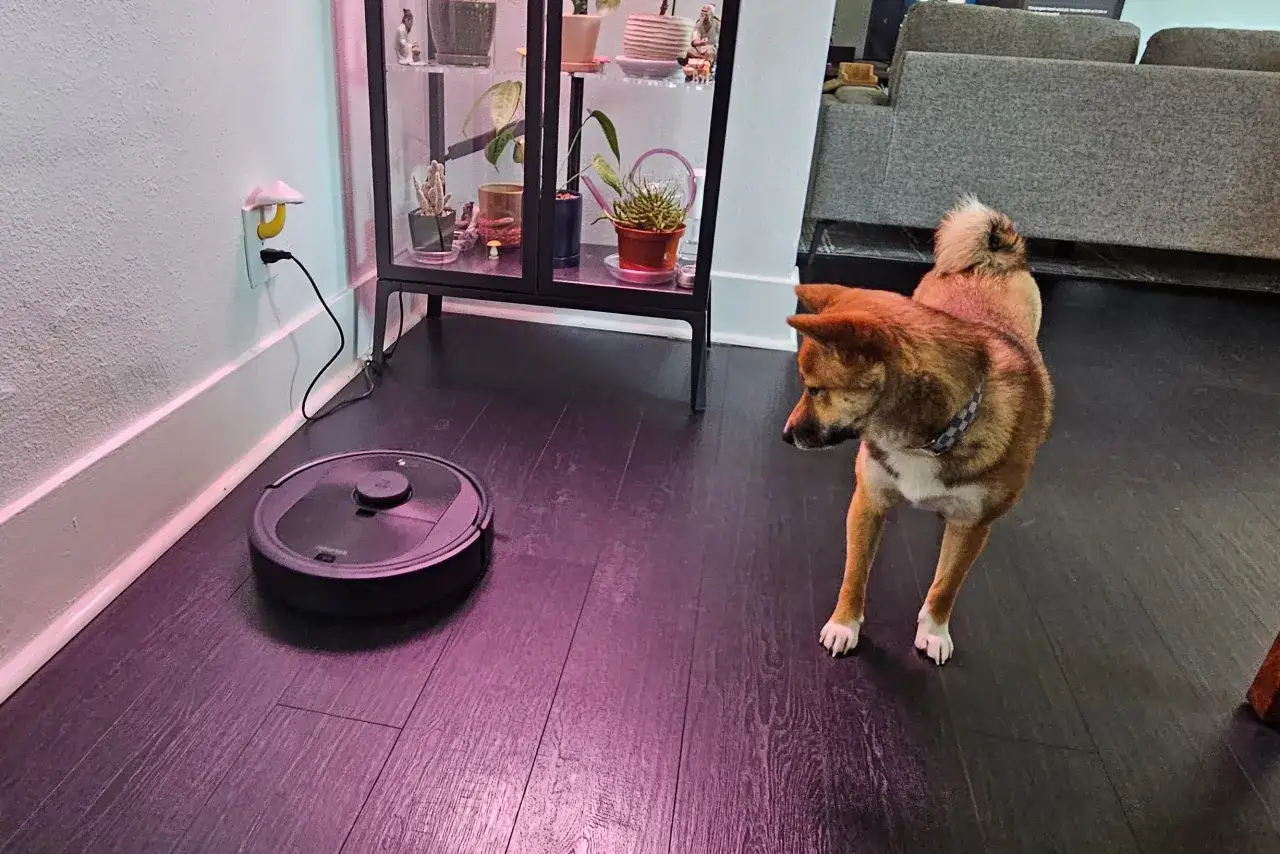 Un perro Shiba Inu observa un robot aspirador, ¡la mejor conga para mascotas que mantiene el suelo impecable!